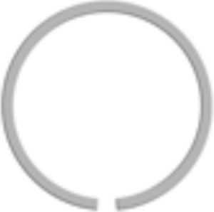 External retaining ring SLC seriesconstant section