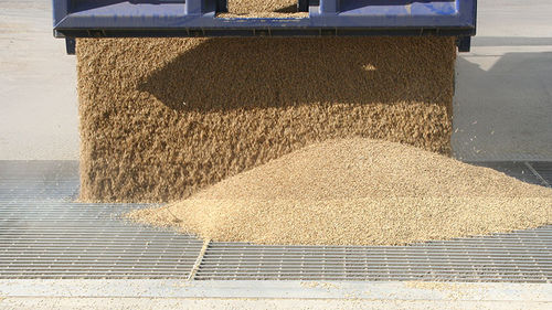 Filter screener