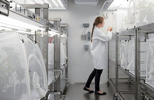 Large growth chamber Fitotron® SGRplantinsect
