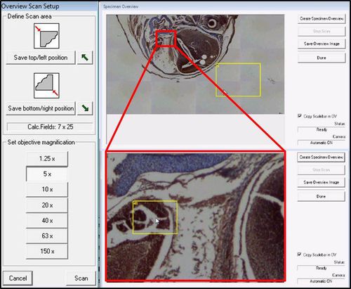 Laboratory software LMD Softwarefor microscopes