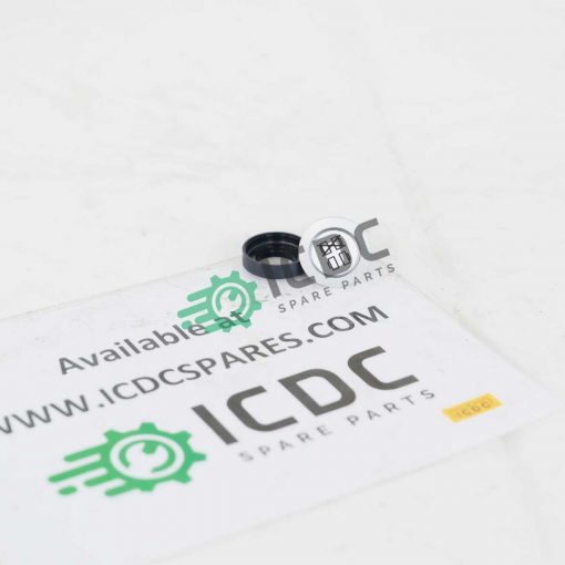 Шлегель — RRJTLR_WS7438_11 — нижняя часть