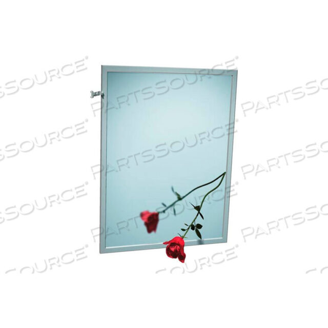 OEM#: 0600-T1830ADJUSTABLE TILT STAINLESS STEEL FRAME MIRROR - 18WX30H by Asi Group