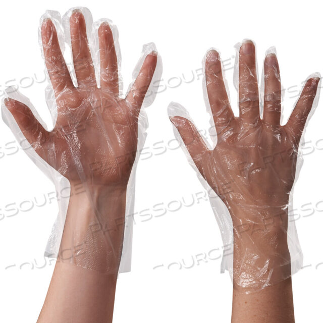 OEM#: GLV2220POLY GLOVES, 1 MIL, CLEAR, 1000/CASE by BOX Partners (Box Acquisitions, LLC)