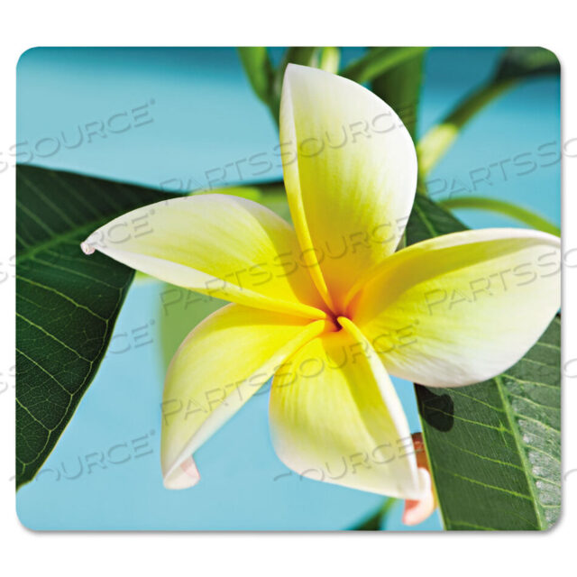 OEM#: 5913801ПЕРЕЗАЩИТНЫЙ КОВРИК ДЛЯ МЫШИ, 9 X 8, ДИЗАЙН ЖЕЛТЫЕ ЦВЕТЫ от Fellowes