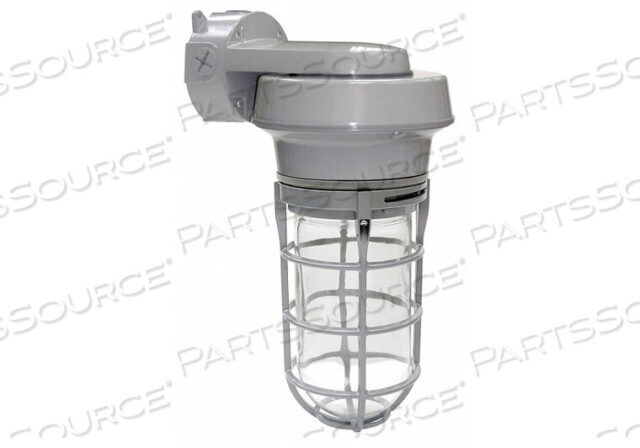 OEM#: 21R880ПАРОГНЕЗАЩИТНЫЙ СВЕТИЛЬНИК 100 Вт MH WALL от Lumapro Products